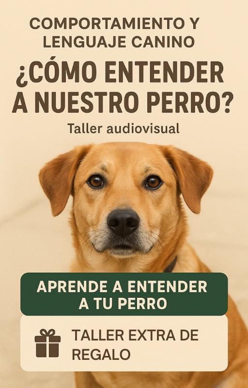 Taller Audiovisual Asincrónico: Comportamiento y Lenguaje Canino